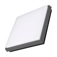 Светильник LGD-AREA-S240x240-25W Day4000 (GR 110 deg 230В) (IP54 металл) Arlight 032427