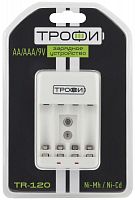 Устройство зарядное автомат. TR-120 Трофи C0031279