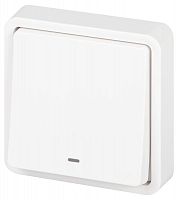 Выключатель Эксперт 11-1522-01 с подсветкой IP55 10АХ-250В СУ бел. Эра Б0063279