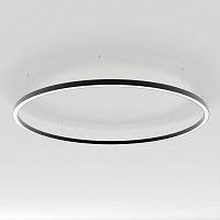 Светильник SP-LINE-HANG-ARC-O3535-D1500-124W Warm3000 (BLACK 230В) металл Arlight 034009(1)