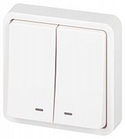 Выключатель Эксперт 11-1525-01 двойн. с подсветкой IP55 10АХ-250В СУ бел. Эра Б0063304