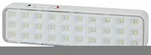 Светильник светодиодный DBA-102-0-20 30LED 5ч IP20 выход аварийный непостоянный Эра Б0044395